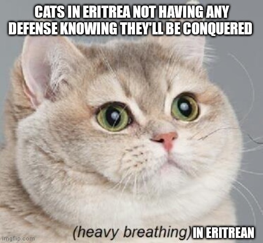 Heavy Breathing Cat Meme | CATS IN ERITREA NOT HAVING ANY DEFENSE KNOWING THEY'LL BE CONQUERED IN ERITREAN | image tagged in memes,heavy breathing cat | made w/ Imgflip meme maker