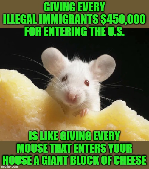Thanks to CorporateLife2k for the idea. | GIVING EVERY ILLEGAL IMMIGRANTS $450,000 FOR ENTERING THE U.S. IS LIKE GIVING EVERY MOUSE THAT ENTERS YOUR HOUSE A GIANT BLOCK OF CHEESE | image tagged in cheese mouse,biden,immigration | made w/ Imgflip meme maker