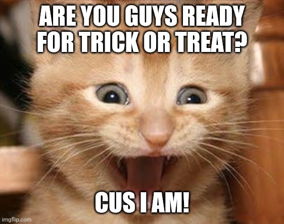 Happy Halloween! | ARE YOU GUYS READY FOR TRICK OR TREAT? CUS I AM! | image tagged in memes,excited cat | made w/ Imgflip meme maker