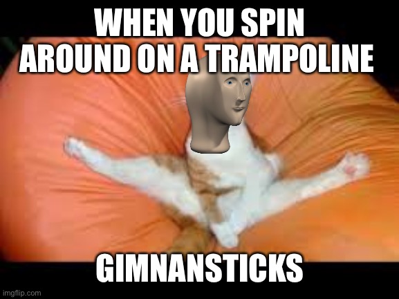CAT WITH GYMNASTICS | WHEN YOU SPIN AROUND ON A TRAMPOLINE; GIMNANSTICKS | image tagged in cat with gymnastics | made w/ Imgflip meme maker