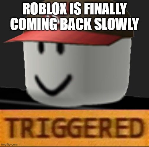 It only costed them millions and millions and millions of dollars to do so | ROBLOX IS FINALLY COMING BACK SLOWLY | image tagged in roblox triggered | made w/ Imgflip meme maker