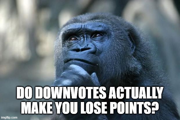 I thought they didn't but some people think it does | DO DOWNVOTES ACTUALLY MAKE YOU LOSE POINTS? | image tagged in deep thoughts,imgflip,downvote | made w/ Imgflip meme maker