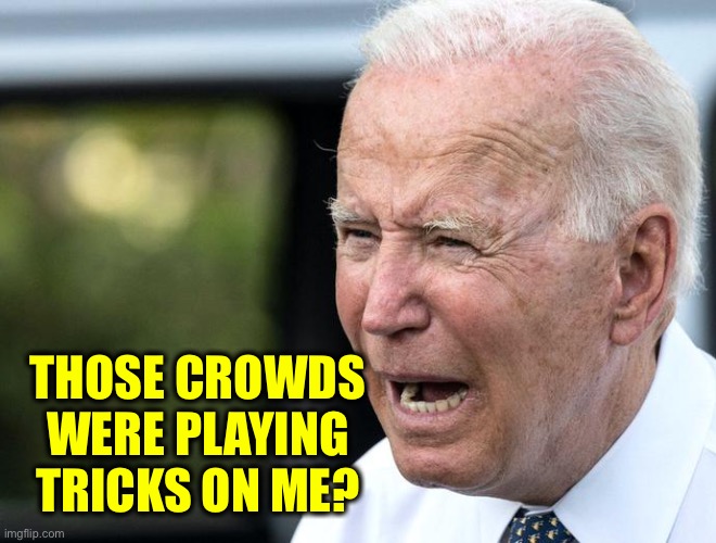 I screwed up | THOSE CROWDS WERE PLAYING TRICKS ON ME? | image tagged in i screwed up | made w/ Imgflip meme maker