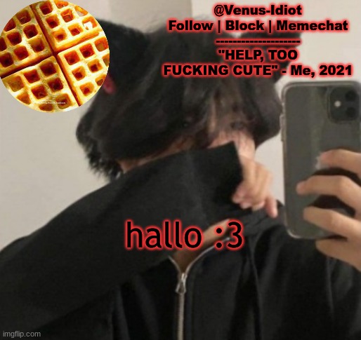 my waffle temp bc im a SIMP |  hallo :3 | image tagged in my waffle temp bc im a simp | made w/ Imgflip meme maker