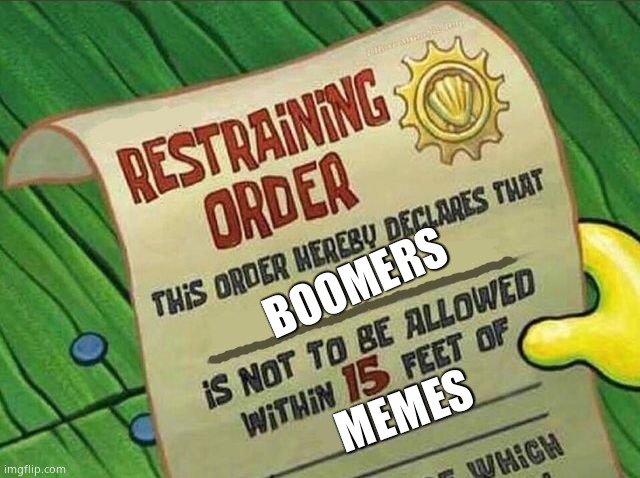 Restrain the Boomers | BOOMERS; MEMES | image tagged in restraining order | made w/ Imgflip meme maker