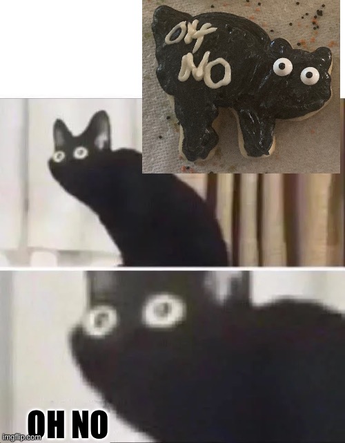 I was making cooking with my grandma- | OH NO | image tagged in oh no black cat | made w/ Imgflip meme maker