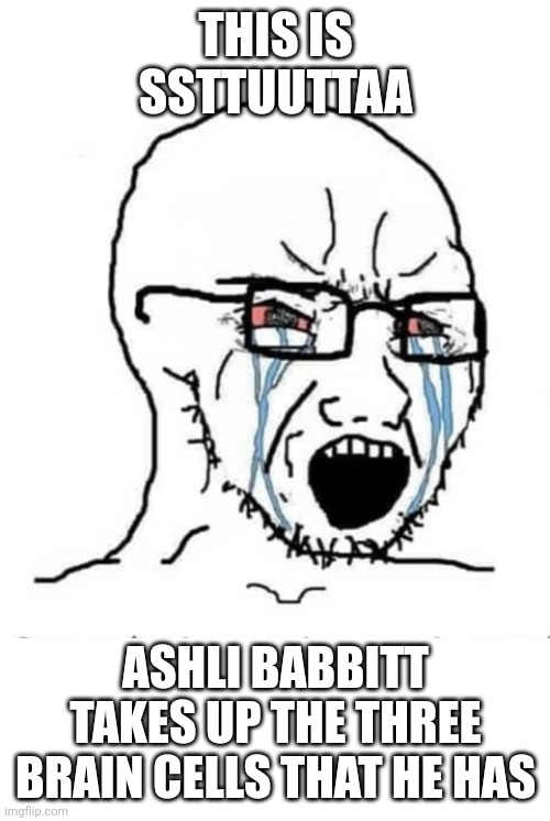 Nooo soyboy | THIS IS SSTTUUTTAA ASHLI BABBITT TAKES UP THE THREE BRAIN CELLS THAT HE HAS | image tagged in nooo soyboy | made w/ Imgflip meme maker