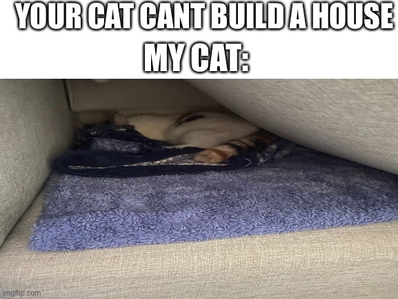 Cat builder | YOUR CAT CANT BUILD A HOUSE; MY CAT: | image tagged in funny cat memes | made w/ Imgflip meme maker