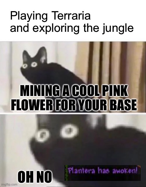 First play through be like | Playing Terraria and exploring the jungle; MINING A COOL PINK FLOWER FOR YOUR BASE; OH NO | image tagged in oh no black cat | made w/ Imgflip meme maker