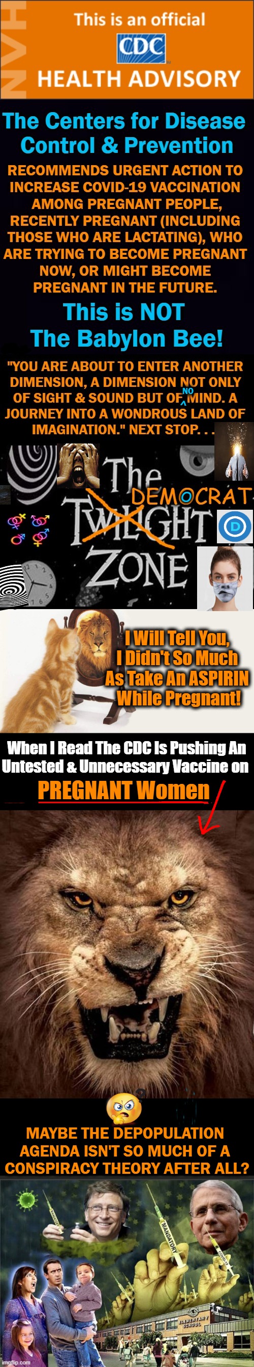 NO Long-Term Data Is Available; This Jab Should NOT Be Used On PG Women Or Children! | NO; <; O | image tagged in political meme,cdc,covid vaccine,pregnant women,children,medical malpractice | made w/ Imgflip meme maker