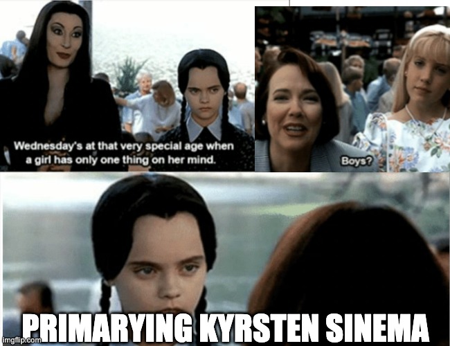Wednesday at that age | PRIMARYING KYRSTEN SINEMA | image tagged in wednesday addams | made w/ Imgflip meme maker
