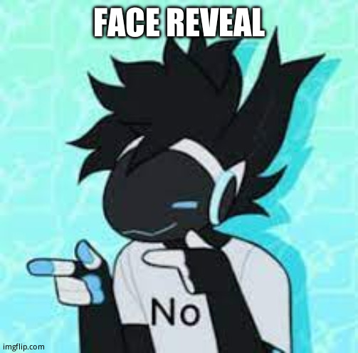 Title text | FACE REVEAL | image tagged in protogen no point | made w/ Imgflip meme maker