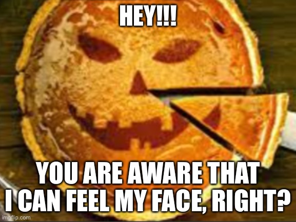 happy halloween | HEY!!! YOU ARE AWARE THAT I CAN FEEL MY FACE, RIGHT? | image tagged in dark humor,halloween,pumpkin,pumpkin pie,face | made w/ Imgflip meme maker