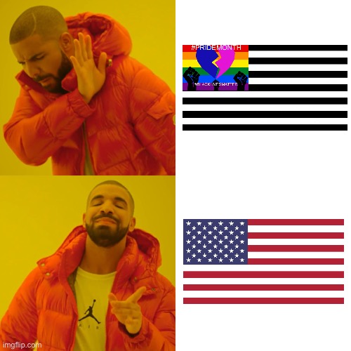 The USA was a lot better when TikTok didn’t exist | image tagged in memes,drake hotline bling | made w/ Imgflip meme maker