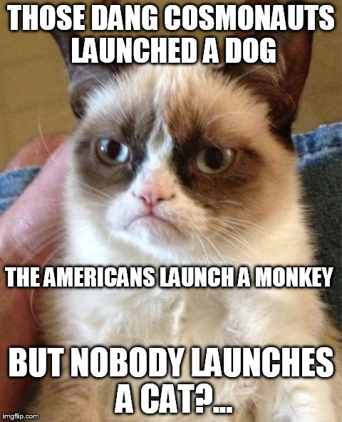 Grumpy Cat Meme | THOSE DANG COSMONAUTS LAUNCHED A DOG BUT NOBODY LAUNCHES A CAT?... THE AMERICANS LAUNCH A MONKEY | image tagged in memes,grumpy cat | made w/ Imgflip meme maker
