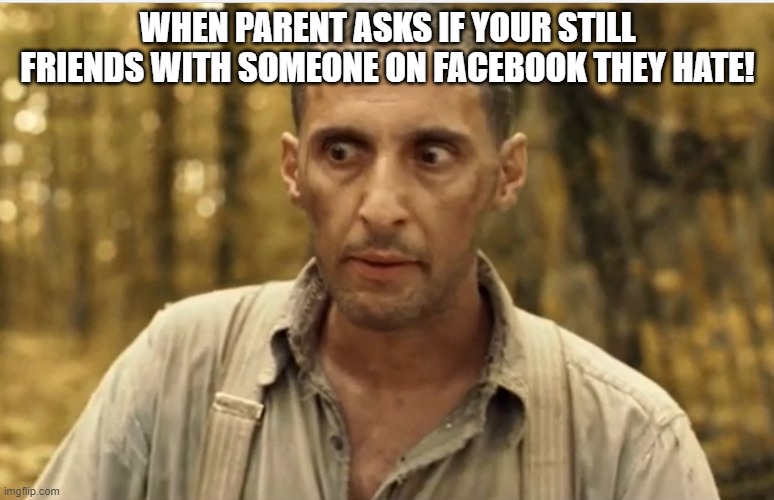 Parents asking? | WHEN PARENT ASKS IF YOUR STILL FRIENDS WITH SOMEONE ON FACEBOOK THEY HATE! | image tagged in funny | made w/ Imgflip meme maker