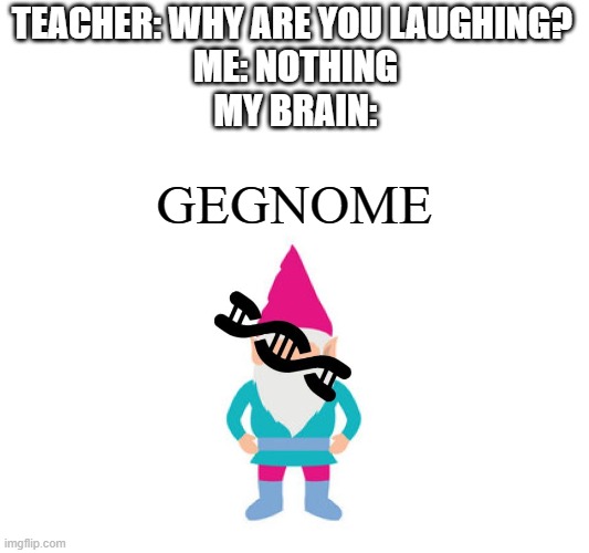 Ge"Gnome" | TEACHER: WHY ARE YOU LAUGHING? 
ME: NOTHING
MY BRAIN:; GEGNOME | image tagged in funny memes | made w/ Imgflip meme maker