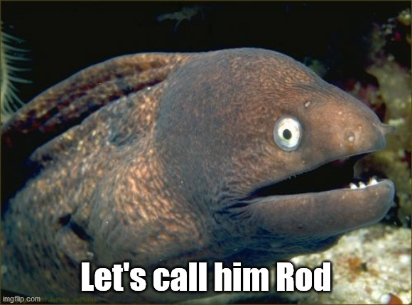 Bad Joke Eel Meme | Let's call him Rod | image tagged in memes,bad joke eel | made w/ Imgflip meme maker