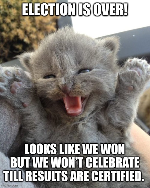 Yay Kitty | ELECTION IS OVER! LOOKS LIKE WE WON BUT WE WON’T CELEBRATE TILL RESULTS ARE CERTIFIED. | image tagged in yay kitty | made w/ Imgflip meme maker