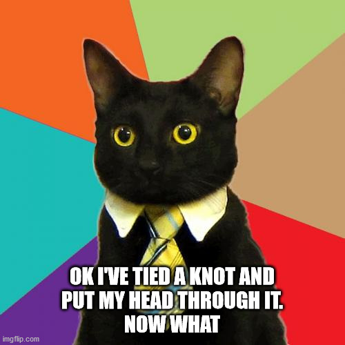 Business Cat Meme | OK I'VE TIED A KNOT AND
PUT MY HEAD THROUGH IT.
NOW WHAT | image tagged in memes,business cat | made w/ Imgflip meme maker