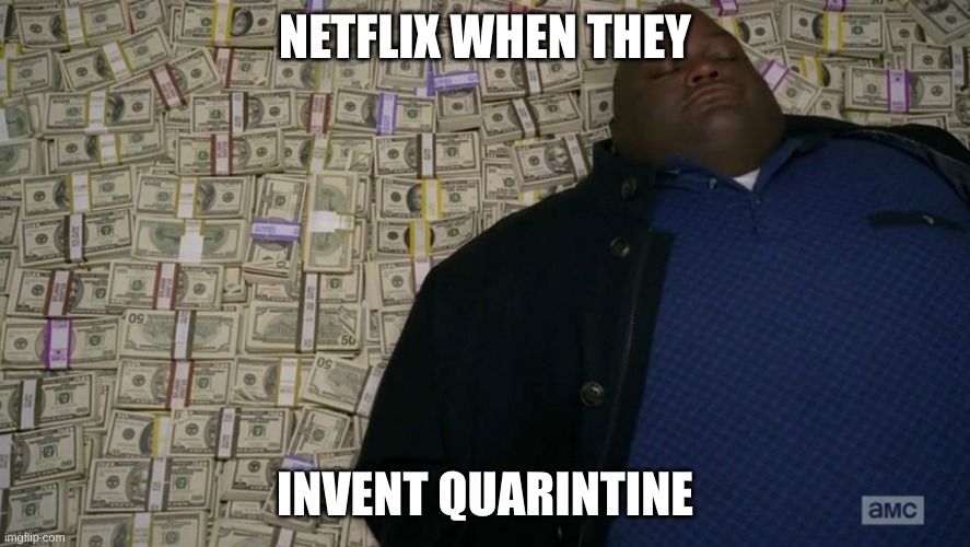 business is booming | NETFLIX WHEN THEY; INVENT QUARINTINE | image tagged in man sleeping on money | made w/ Imgflip meme maker