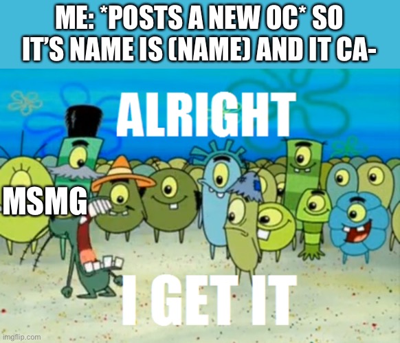 Alright I get It | ME: *POSTS A NEW OC* SO IT’S NAME IS (NAME) AND IT CA-; MSMG | image tagged in alright i get it | made w/ Imgflip meme maker