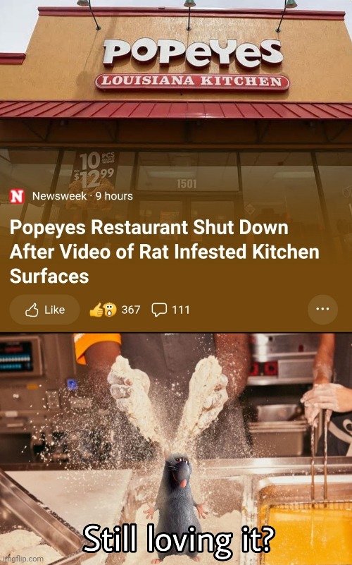 Popeye's Chicken | image tagged in chicken,rats,kitchen,popeyes,love | made w/ Imgflip meme maker