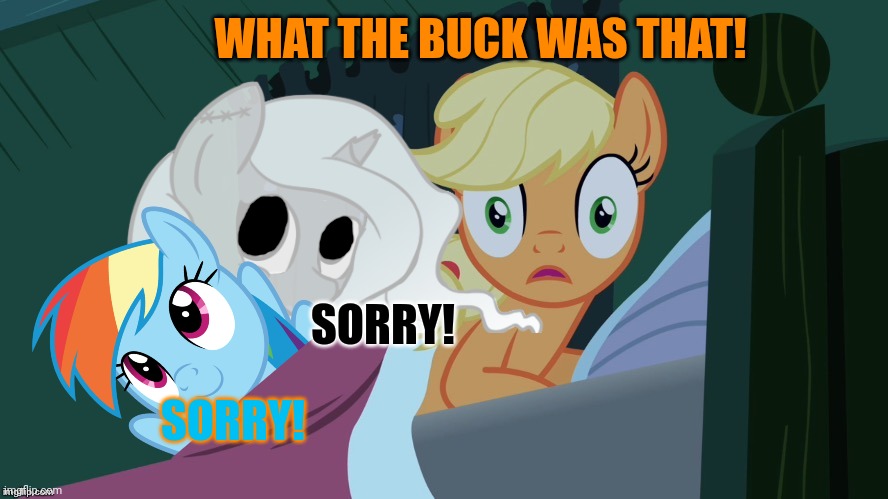 Stop grabbing Applejack! | SORRY! WHAT THE BUCK WAS THAT! SORRY! | image tagged in spooktober,happy halloween,my little pony,applejack,rainbow dash,ghost | made w/ Imgflip meme maker