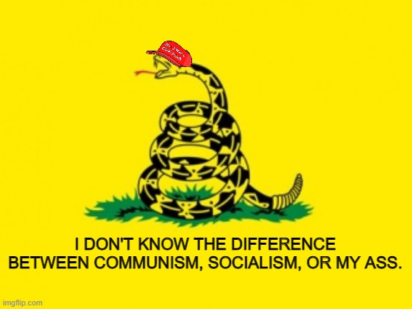 Gadsden Flag | I DON'T KNOW THE DIFFERENCE BETWEEN COMMUNISM, SOCIALISM, OR MY ASS. | image tagged in gadsden flag | made w/ Imgflip meme maker