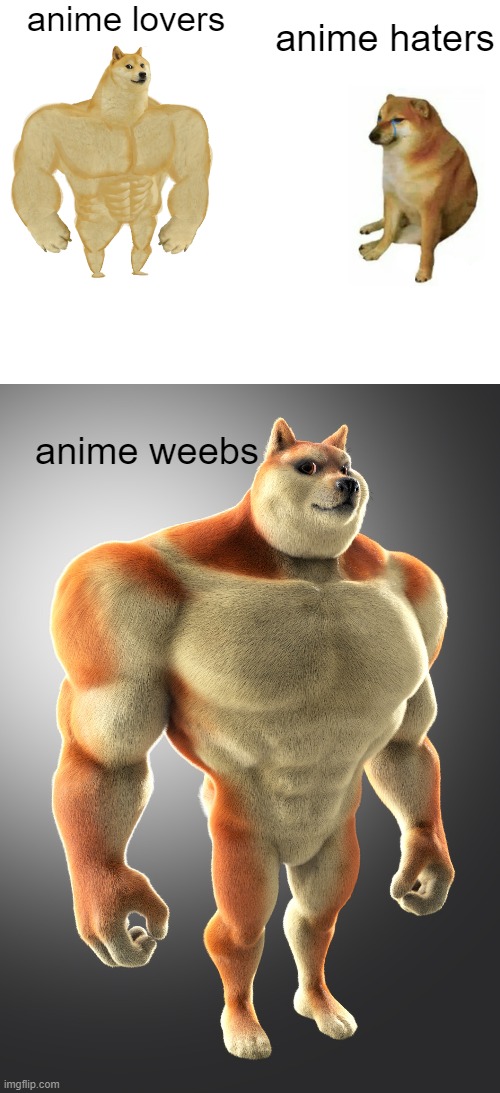 fax | anime lovers; anime haters; anime weebs | image tagged in memes,buff doge vs cheems | made w/ Imgflip meme maker