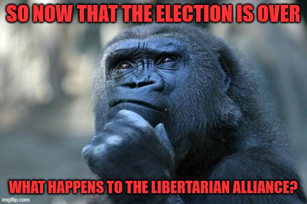 Common Sense Party is open to keeping the alliance to help libertarian parties win their elections | SO NOW THAT THE ELECTION IS OVER; WHAT HAPPENS TO THE LIBERTARIAN ALLIANCE? | image tagged in deep thoughts | made w/ Imgflip meme maker