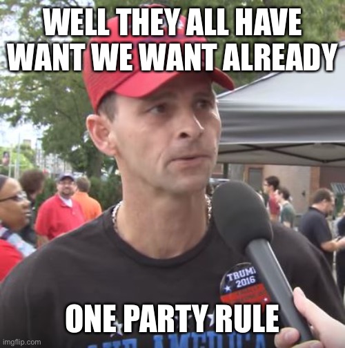 Trump supporter | WELL THEY ALL HAVE WANT WE WANT ALREADY ONE PARTY RULE | image tagged in trump supporter | made w/ Imgflip meme maker