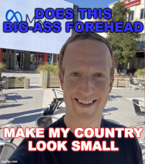 Does This Big-Ass Forehead Make My Country Look Small | DOES THIS BIG-ASS FOREHEAD; MAKE MY COUNTRY
LOOK SMALL | image tagged in zuckerbot | made w/ Imgflip meme maker