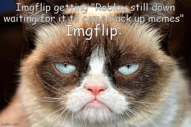 Grumpy Cat Not Amused | Imgflip getting "Roblox still down waiting for it to come back up memes"; Imgflip: | image tagged in memes,grumpy cat not amused,grumpy cat | made w/ Imgflip meme maker