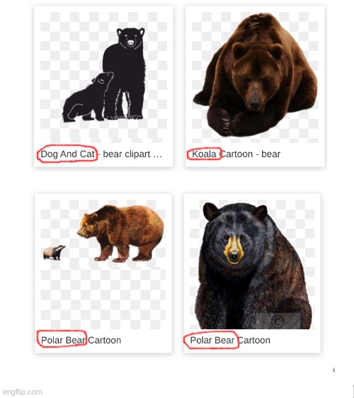 So I Was Looking Up Bear PNGS | image tagged in memes,bear | made w/ Imgflip meme maker