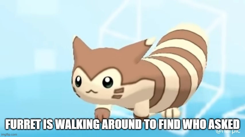 Furret Walcc | FURRET IS WALKING AROUND TO FIND WHO ASKED | image tagged in furret walcc | made w/ Imgflip meme maker