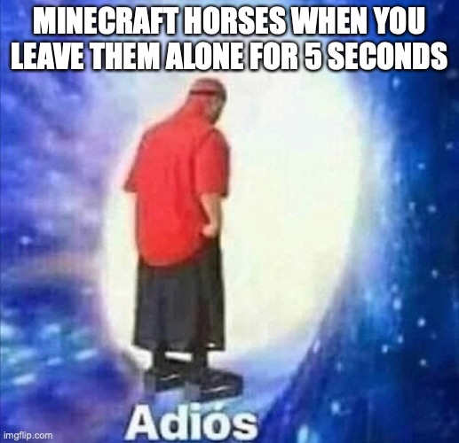 Adios | MINECRAFT HORSES WHEN YOU LEAVE THEM ALONE FOR 5 SECONDS | image tagged in adios | made w/ Imgflip meme maker