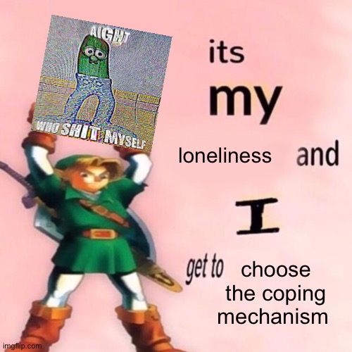 It's my ___ and I get to ____. | loneliness; choose the coping mechanism | image tagged in it's my ___ and i get to ____ | made w/ Imgflip meme maker
