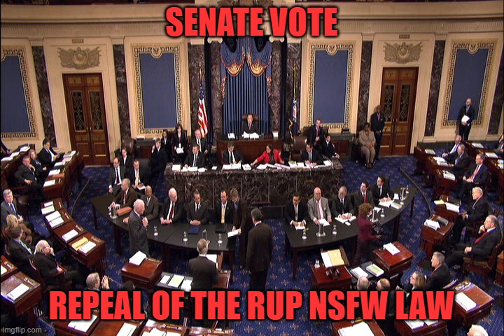 Senate floor | SENATE VOTE; REPEAL OF THE RUP NSFW LAW | image tagged in senate floor | made w/ Imgflip meme maker