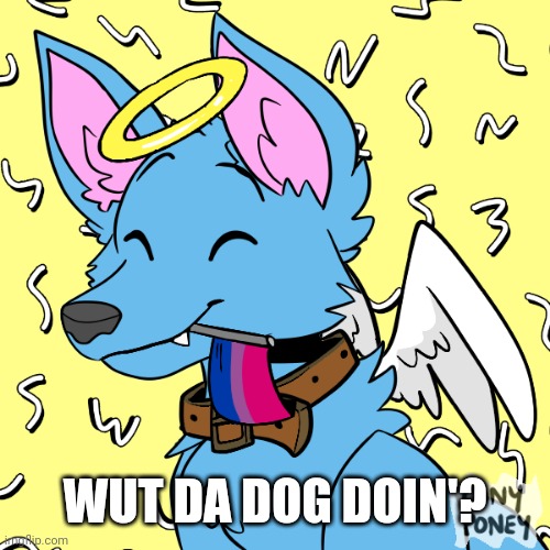 Wut da dog doin'? | WUT DA DOG DOIN'? | image tagged in wut da dog doin' | made w/ Imgflip meme maker