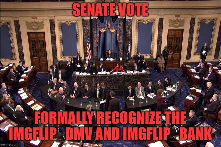 Senate floor | SENATE VOTE; FORMALLY RECOGNIZE THE IMGFLIP_DMV AND IMGFLIP_BANK | image tagged in senate floor | made w/ Imgflip meme maker