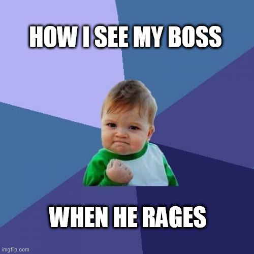 Success Kid Meme | HOW I SEE MY BOSS; WHEN HE RAGES | image tagged in memes,success kid | made w/ Imgflip meme maker