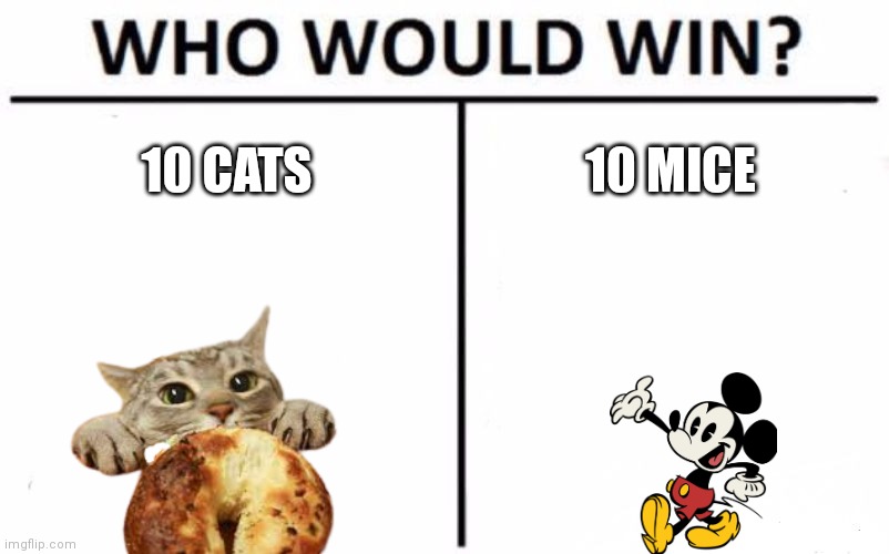 Who Would Win? | 10 CATS; 10 MICE | image tagged in memes,who would win | made w/ Imgflip meme maker