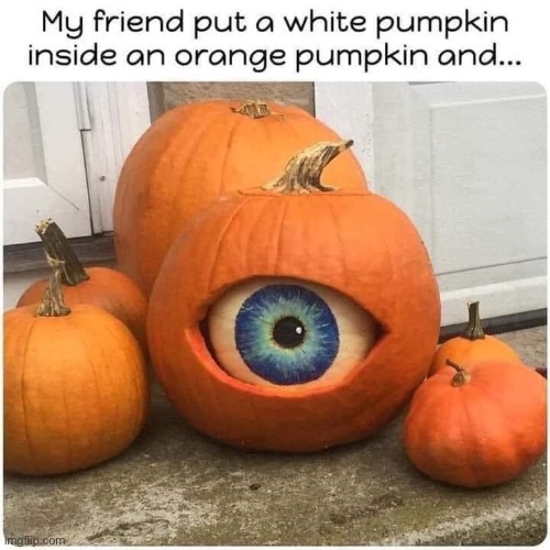 image tagged in halloween,pumpkin | made w/ Imgflip meme maker