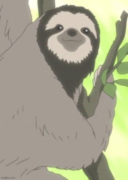 Anime sloth wise | image tagged in anime sloth wise | made w/ Imgflip meme maker