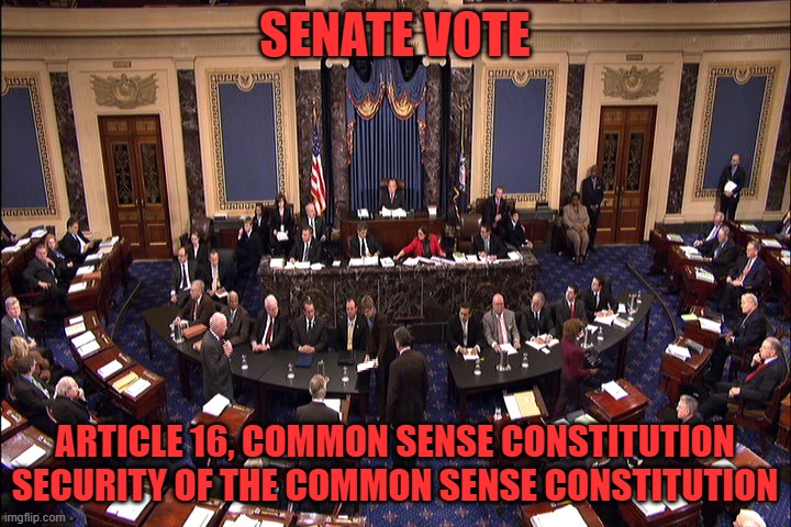 An essential part of the Constitution, so we don't have people changing the Constitution every 5 minutes | SENATE VOTE; ARTICLE 16, COMMON SENSE CONSTITUTION
SECURITY OF THE COMMON SENSE CONSTITUTION | image tagged in senate floor | made w/ Imgflip meme maker