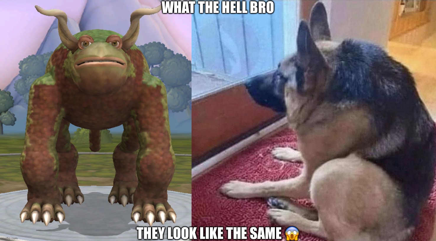 What the dog doing | WHAT THE HELL BRO; THEY LOOK LIKE THE SAME 😱 | image tagged in lobers,what the dog doin | made w/ Imgflip meme maker