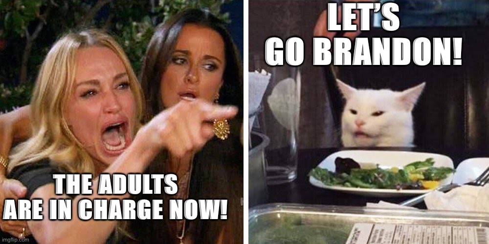 Smudge the cat | LET’S GO BRANDON! THE ADULTS ARE IN CHARGE NOW! | image tagged in smudge the cat | made w/ Imgflip meme maker