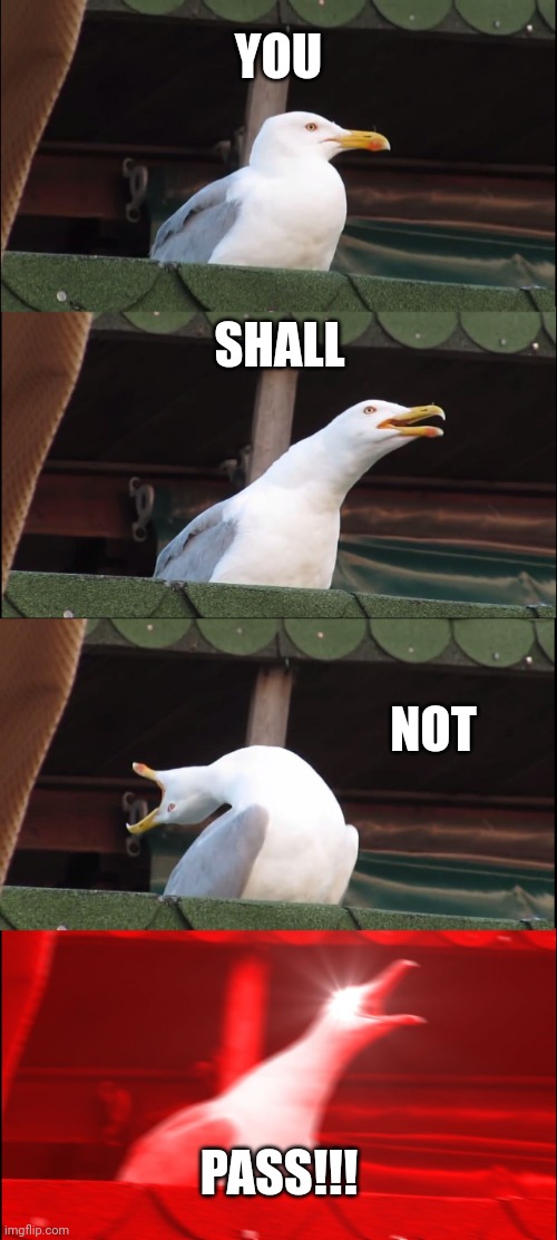 Inhaling Seagull | YOU; SHALL; NOT; PASS!!! | image tagged in memes,inhaling seagull | made w/ Imgflip meme maker