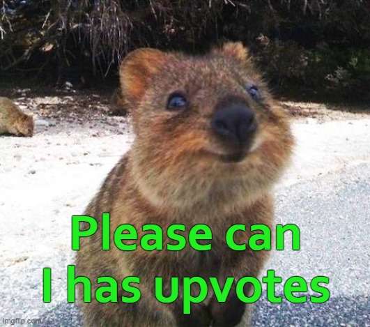 Please can I has upvotes | image tagged in upvote begging | made w/ Imgflip meme maker